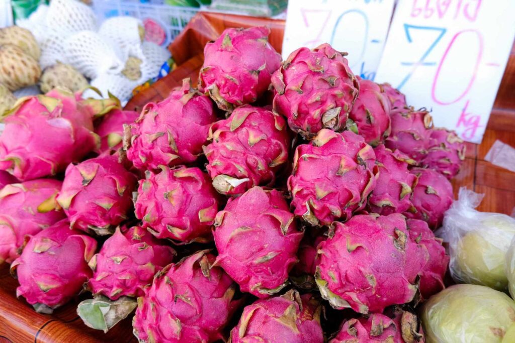 Tasty Dragon fruit at the Food zone